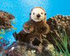 Baby Sea Otter Puppet