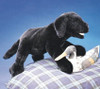 Black Lab Puppy Puppet