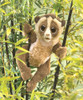 Slow Loris Puppet