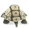 Tortoise Puppet