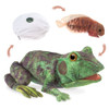 Frog Life Cycle Hand Puppet