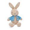 Peter Rabbit Bean Bag