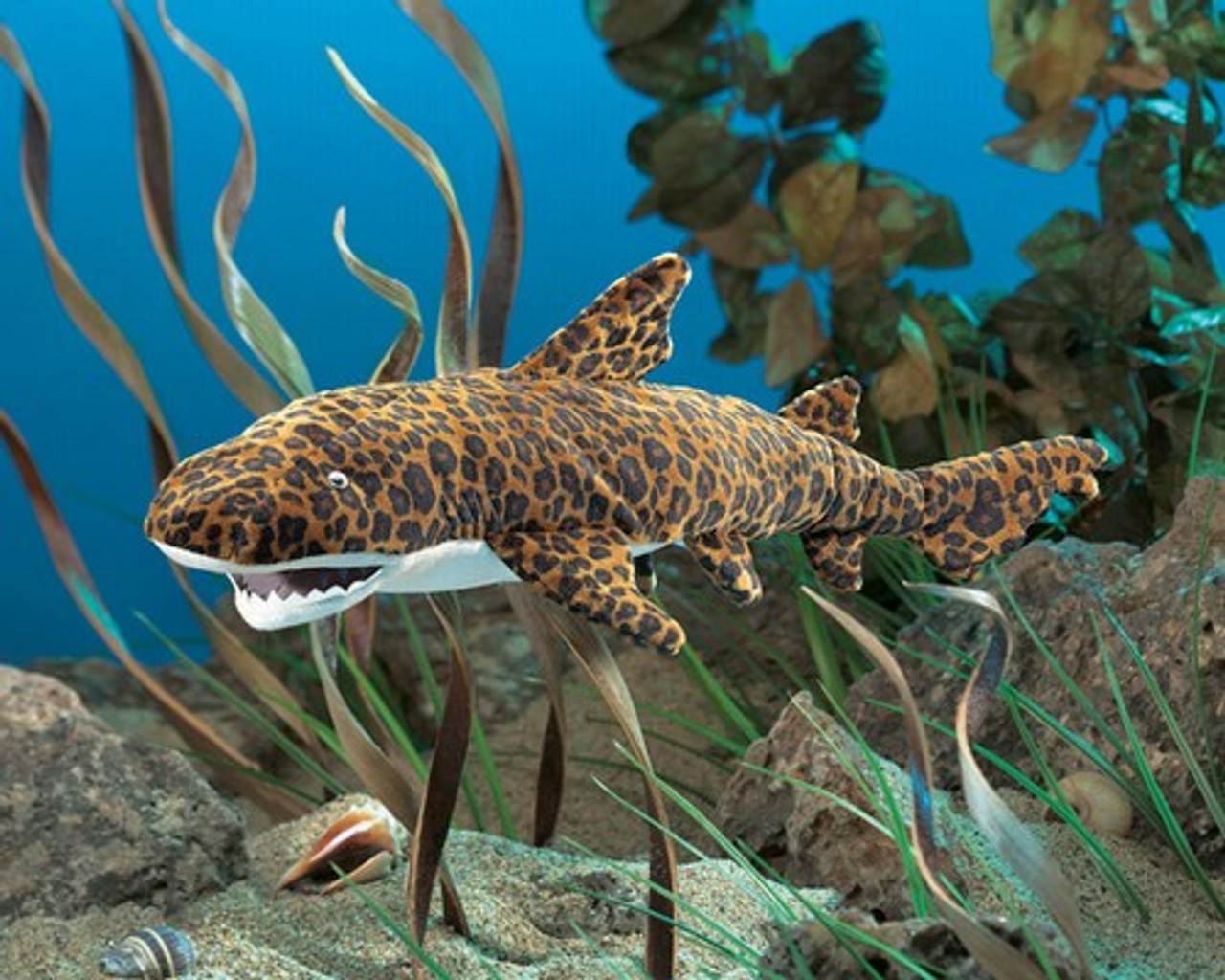 Leopard Shark Puppet