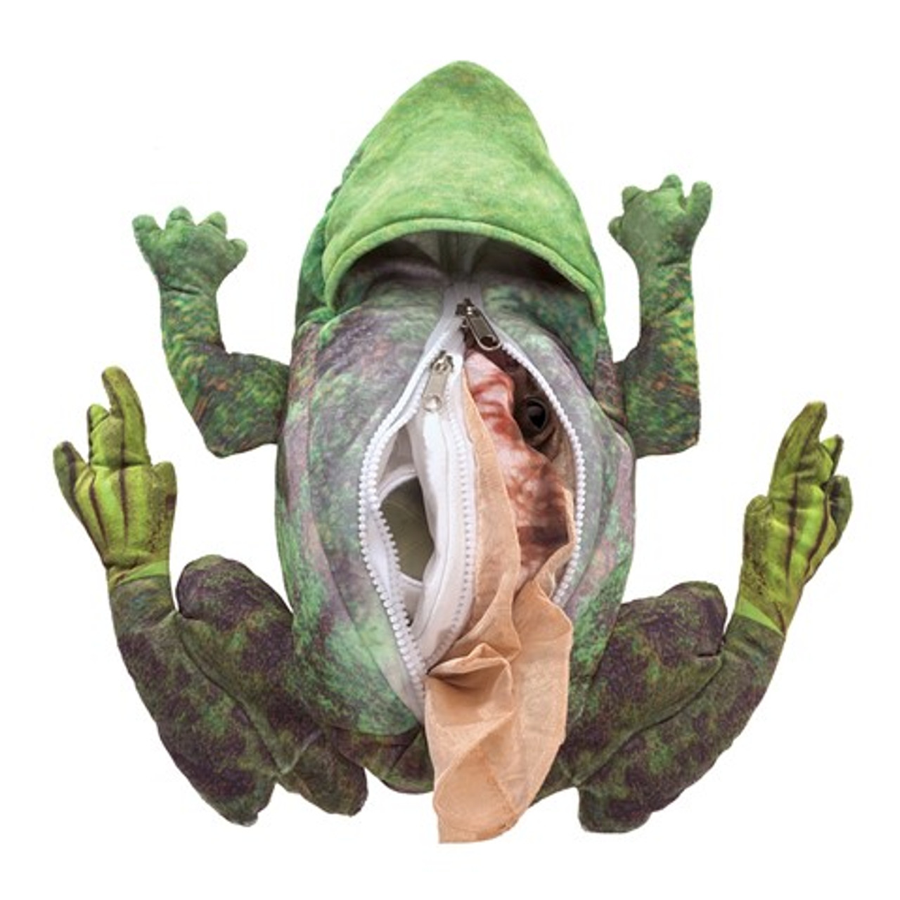 Frog Life Cycle Hand Puppet