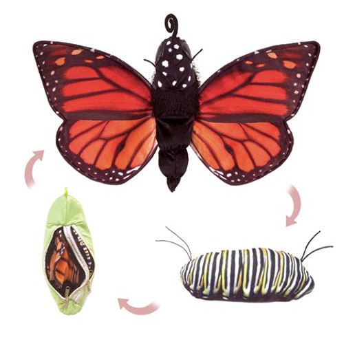 Monarch Life Cycle Puppet