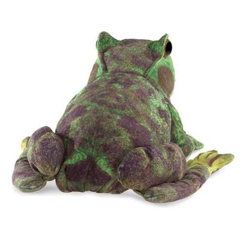 Frog Life Cycle Hand Puppet