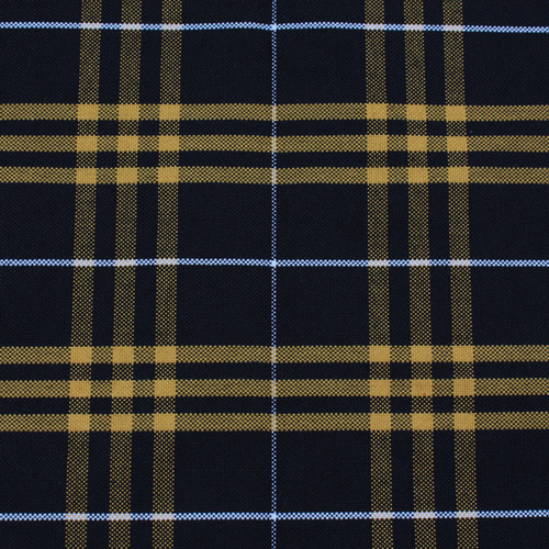 Black & Gold Plaid Pencil Case