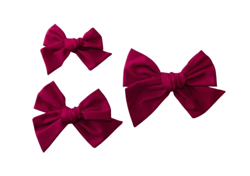 Burgundy Butterfly Bow