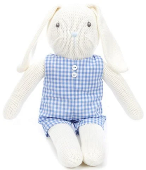14" Boy Bunny in Blue Gingham Outfit