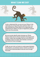 FREE INTRO Tools for Managing Stress, Anxiety and Performing Under Pressure [printable PDF]