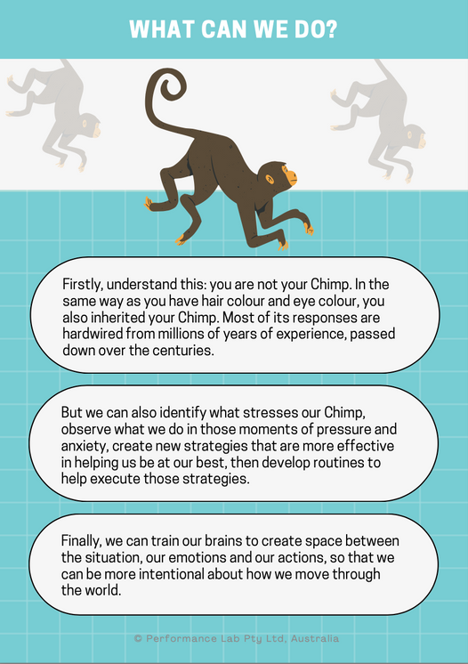 Tools for Managing Stress, Anxiety and Performing Under Pressure [printable PDF]