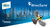 SolarGard WingSafe Horizontal Bird Protection Window Film Master Roll 100ft