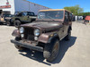 1979 Jeep CJ-7 Golden Eagle  - Stock # 821306