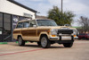 1989 Jeep Grand Wagoneer - Stock # 109737