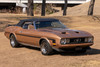 1973 Ford Mustang Q Code 1 of 1 - Stock # 143858