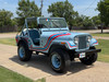 1979 Jeep CJ-5 Super Jeep Tribute - Stock # 137893