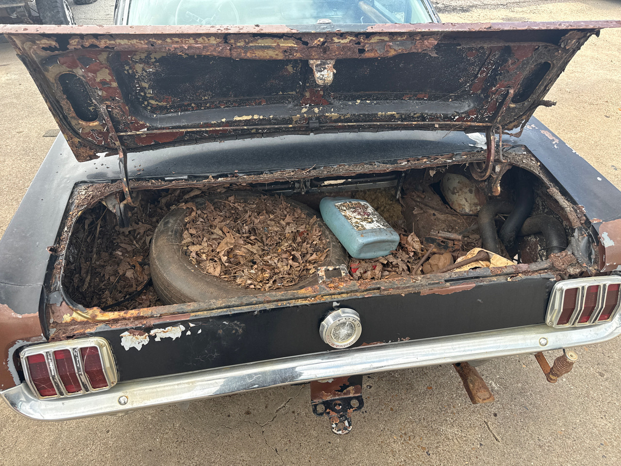 1965 Ford Mustang Fastback - Stock # 306109