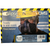 Ellipse Multigas Ready to Use Mask with/ Replacement Cartridges (M/L) GVS 482