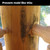 Cascade® Clear Coat - 5gal