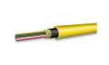 OCC, DX Series, 48-Strand, 900um Tight Buff, In/Out, ILA, Chemical Resistant OFNP, OS2, 9/125, SM, Yellow, cable end view