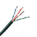 Cat5E CM Stranded Patch Cable, U/UTP, 100MHz, 26awg/4pr, CM PVC Jacket - Image 1