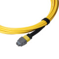 Patch Cable, MTP® Elite/APC, OS2 Singlemode 9/125 Micron, 12 Fiber