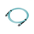 MTP® Elite Female to MTP® Elite Female, 8 Strand, Corning Multimode 50/125 Micron, OFNP Aqua Jacket, coiled