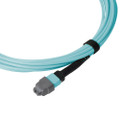 Patch Cable, MTP® Elite/UPC, OM3 Multimode 50/125 Micron, 12 Fiber