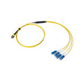 Breakout Cable, MTP® Elite/APC to LC EZConn Uni-Boot, OS2 Singlemode 9/125 Micron, 8 Fiber, view 1