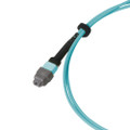 Breakout Cable, MTP® Elite/UPC to LC EZConn Uni-Boot, OM3 Multimode 50/125 Micron, 8 Fiber, image 4