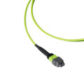 Breakout Cable, MTP® Elite/UPC to LC Duplex, OM5 Multimode 50/125 Micron, 12 Fiber