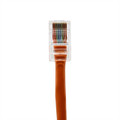 Cat5e Non-Booted Ethernet Cable - Orange Jacket