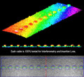 Thermal report