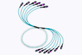 MTP Pro Elite Fiber Optic Trunk Cable, 72 Strand, Multimode OM4 50/125 (6 X 12 Fiber MTP)