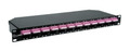 CAQM-1U24P-OM4 - High Density Fiber Optic Patch Panel, MTP/MPO-LC, 1 RMS Enclosure, 50/125 Multimode OM4, 24 Port, 48-Fiber