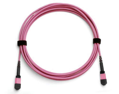 OM4 Multimode - MTP®/MPO Trunk Cables