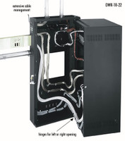 DWR Series Pivoting Wall Rack (w/Plexiglass Door)- 10RU and 17 Inch Deep