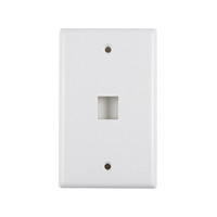 Standard 1-Port Faceplate, Single Gang Width