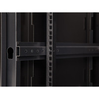 6U LINIER® Swing-Out Wall Mount Cabinet, inside view