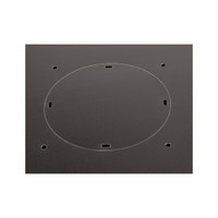 12U LINIER®  Swing-Out Wall Mount Cabinet - Vented Door