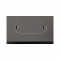 22U LINIER® Swing-Out Wall Mount Cabinet - Vented Door
