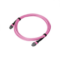 MTP® Elite Female to MTP® Elite Female, 8 Strand, Corning Multimode OM4 50/125 Micron, OFNP Violet Jacket, view 1