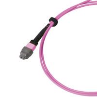 MTP® 16 Elite/APC, OM4 Multimode 50/125 Micron, 16 Fiber