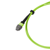 Breakout Cable, MTP® 16 Elite/APC, OM5 Multimode 50/125 Micron, 16 Fiber
