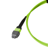 MTP® Elite/APC, OM5 Multimode