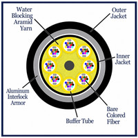 M50DL96CGNRBL25-AIA - 96 Fiber, Armored Interlocking, I/O, Dry Loose Tube,  Corning® ClearCurve® OM3, 23.7mm OD - 2.5mm Sub Unit, OFNR - (cross section view)
