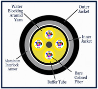 M50DL48CGNRBL25-AIA2 - 48 Fiber, Armored Interlocking, I/O, Dry Loose Tube,  Corning® ClearCurve® OM3, 16.2mm OD - 2.5mm Sub Unit, OFNR - (cross section view)