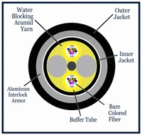 M50DL06CGNRBL25-AIA2 - 6 Fiber, Armored Interlocking, I/O, Dry Loose Tube,  Corning® ClearCurve® OM3, 13.0mm OD - 2.5mm Sub Unit, OFNR - (cross section view)