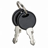 DVRLB-KEY - REPLACEMENT KEYS (2) FOR DVRLB1, DVRLB3, DVRMB1