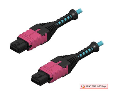 MTP/UPC Elite Pro Boot Cable, MM 50/125 Micorn 12 Fiber - P4P12E2F-E2F-XXXX-X - Image 2